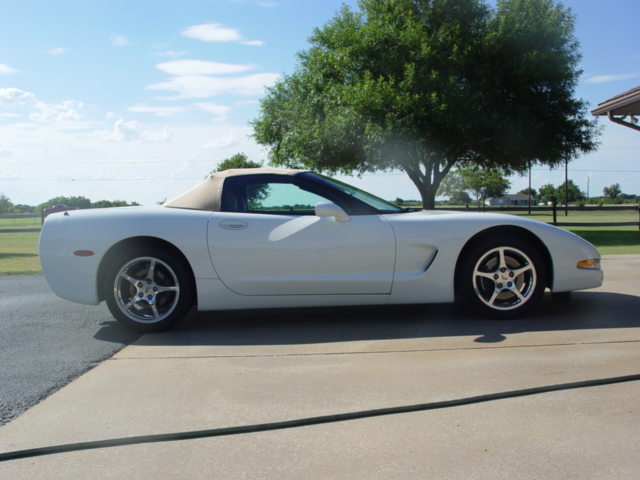 whitecorvette.jpg